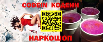 МДПВ Кингисепп