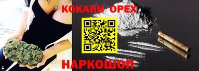 крисы Кинель