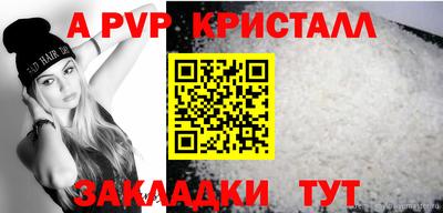крисы Кинель