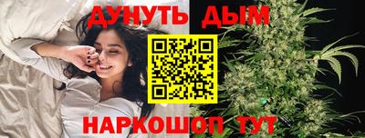 МДПВ Кингисепп