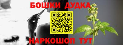 МДПВ Кингисепп