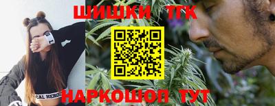 МДПВ Кингисепп