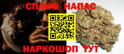 МДПВ Кингисепп