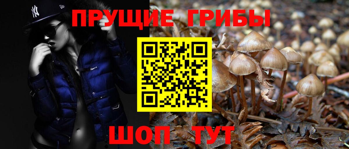 Уварово  Галлюциногенные грибы Psilocybe  наркошоп  Вход с VPN 